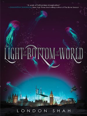 cover image of The Light at the Bottom of the World